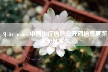 扶余中国执行信息公开网信息更新时间是多久