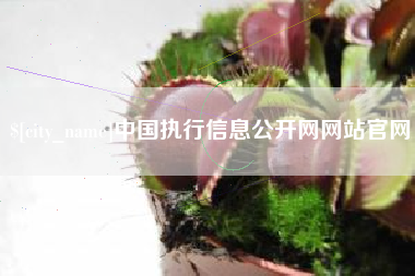 扶余中国执行信息公开网网站官网