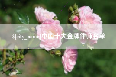 扶余中国十大金牌律师名单