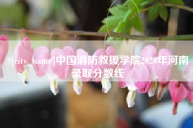 扶余中国消防救援学院2020年河南录取分数线