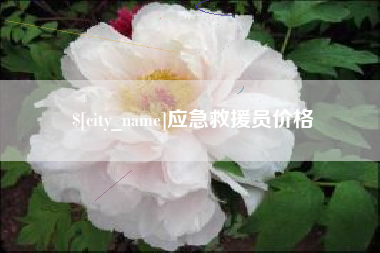 扶余应急救援员价格