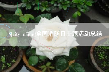 扶余全国消防日主题活动总结