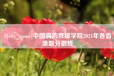 扶余中国消防救援学院2021年各省录取分数线