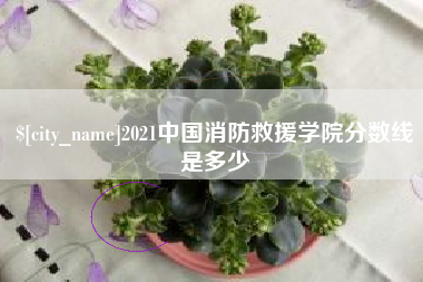 扶余2021中国消防救援学院分数线是多少