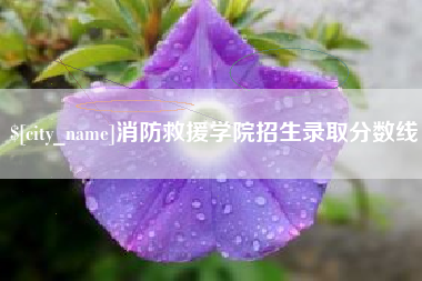 扶余消防救援学院招生录取分数线