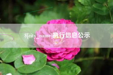 扶余执行信息公示