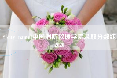 扶余中国消防救援学院录取分数线2020