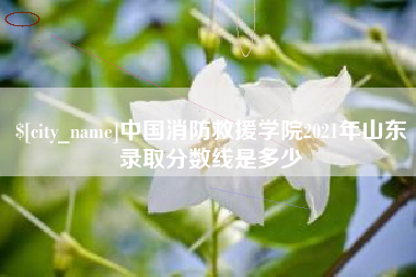 扶余中国消防救援学院2021年山东录取分数线是多少