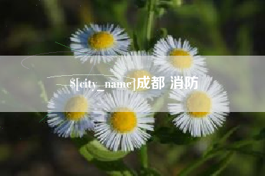 扶余成都 消防