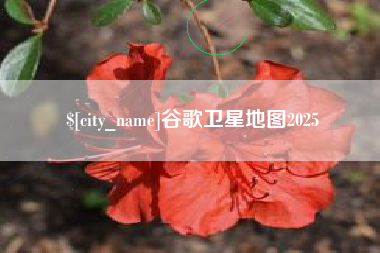扶余谷歌卫星地图2025