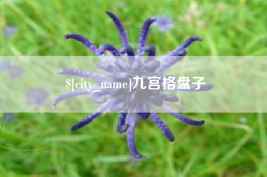 扶余九宫格盘子