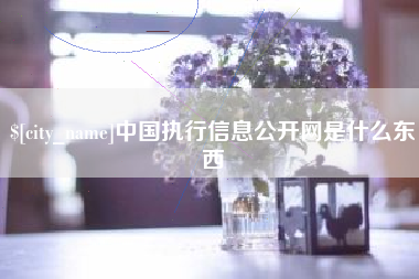 扶余中国执行信息公开网是什么东西