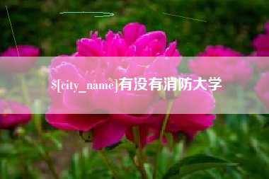 扶余有没有消防大学