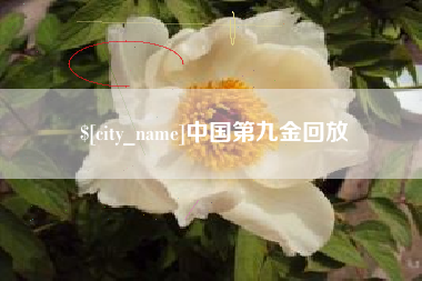 扶余中国第九金回放