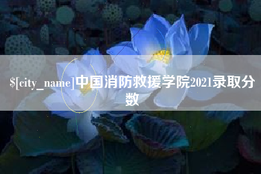 扶余中国消防救援学院2021录取分数