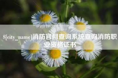 扶余消防官网查询系统查询消防职业资格证书