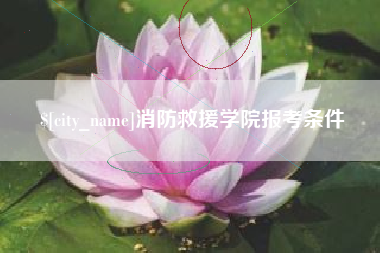 扶余消防救援学院报考条件