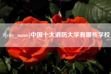 扶余中国十大消防大学有哪些学校