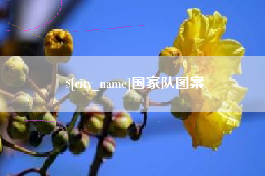 扶余国家队图案
