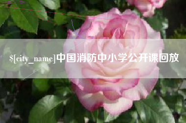 扶余中国消防中小学公开课回放