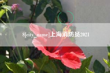 扶余上海消防员2021