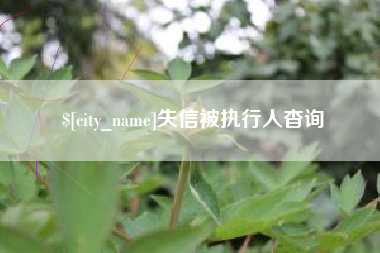 扶余失信被执行人杳询