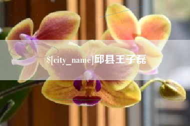 扶余邱县王子磊