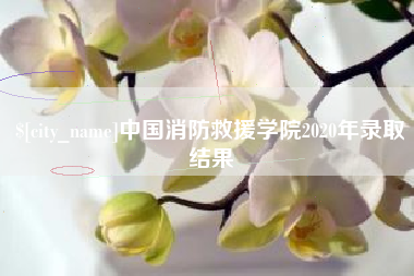 扶余中国消防救援学院2020年录取结果