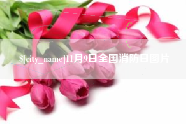 扶余11月9日全国消防日图片
