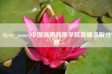 扶余中国消防救援学院新疆录取分数