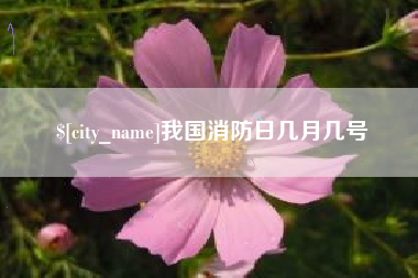 扶余我国消防日几月几号