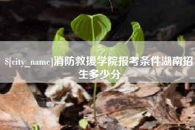 扶余消防救援学院报考条件湖南招生多少分