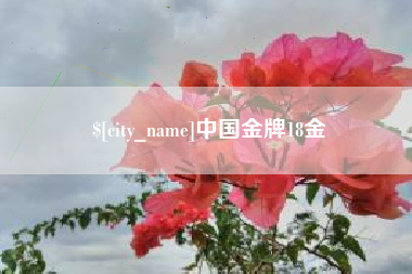 扶余中国金牌18金