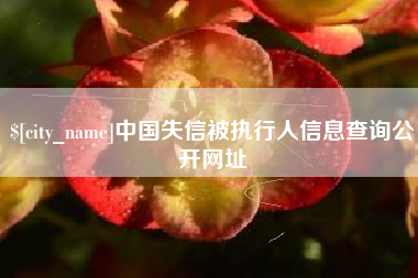 扶余中国失信被执行人信息查询公开网址