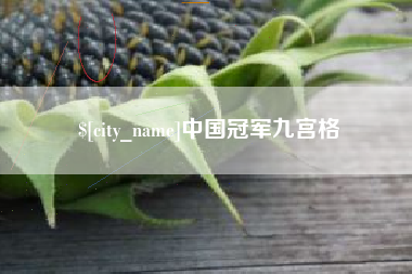 扶余中国冠军九宫格