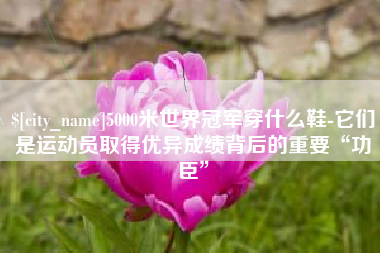 扶余5000米世界冠军穿什么鞋-它们是运动员取得优异成绩背后的重要“功臣”