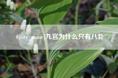扶余九宫为什么只有八卦