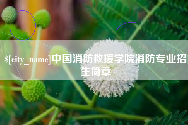 扶余中国消防救援学院消防专业招生简章