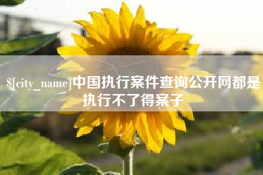 扶余中国执行案件查询公开网都是执行不了得案子