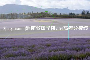 扶余消防救援学院2020高考分数线
