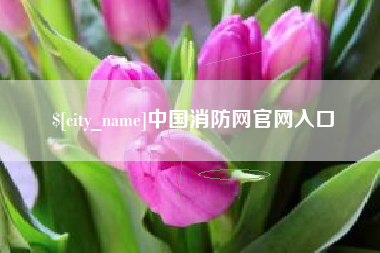 扶余中国消防网官网入口