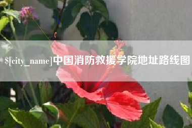扶余中国消防救援学院地址路线图
