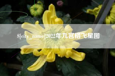 扶余2022年九宫格飞星图