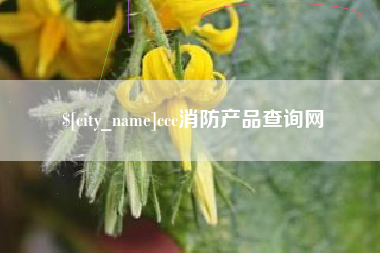 扶余ccc消防产品查询网