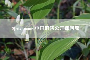 扶余中国消防公开课回放
