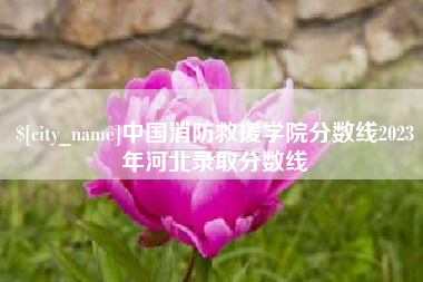 扶余中国消防救援学院分数线2023年河北录取分数线
