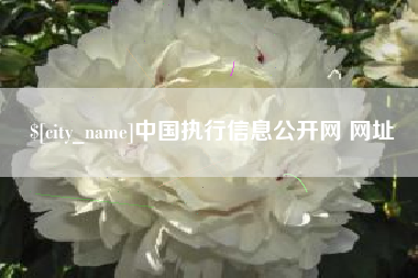 扶余中国执行信息公开网 网址