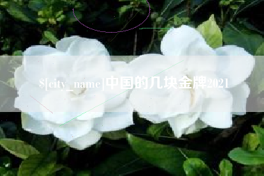 扶余中国的几块金牌2021
