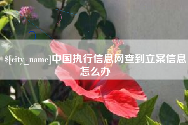 扶余中国执行信息网查到立案信息怎么办