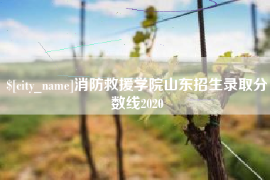 扶余消防救援学院山东招生录取分数线2020